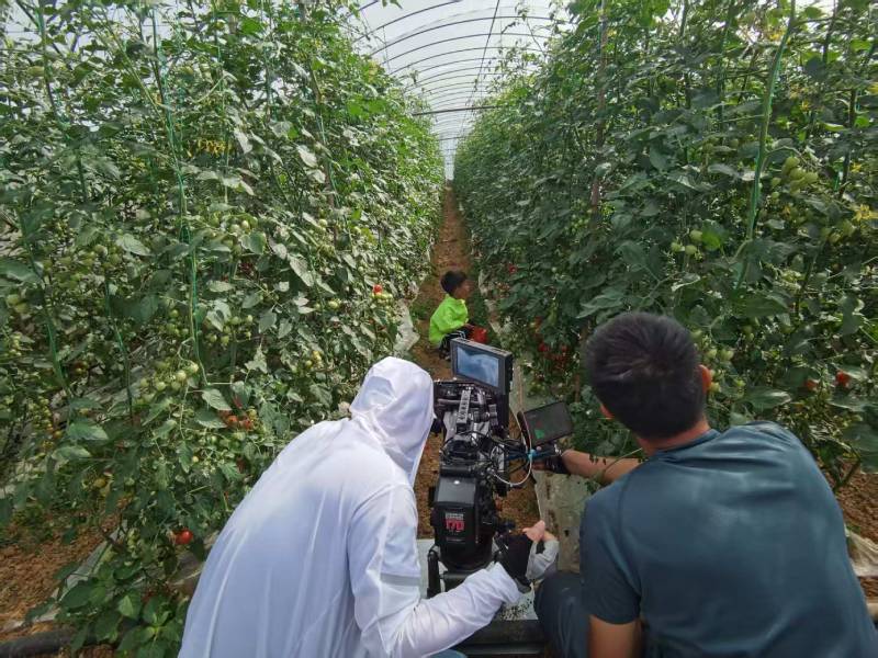 清水县产品宣传视频拍摄公司进阶指南，助力品牌抢占传播高地